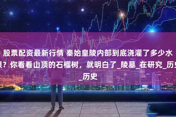 股票配资最新行情 秦始皇陵内部到底浇灌了多少水银？你看看山顶的石榴树，就明白了_陵墓_在研究_历史